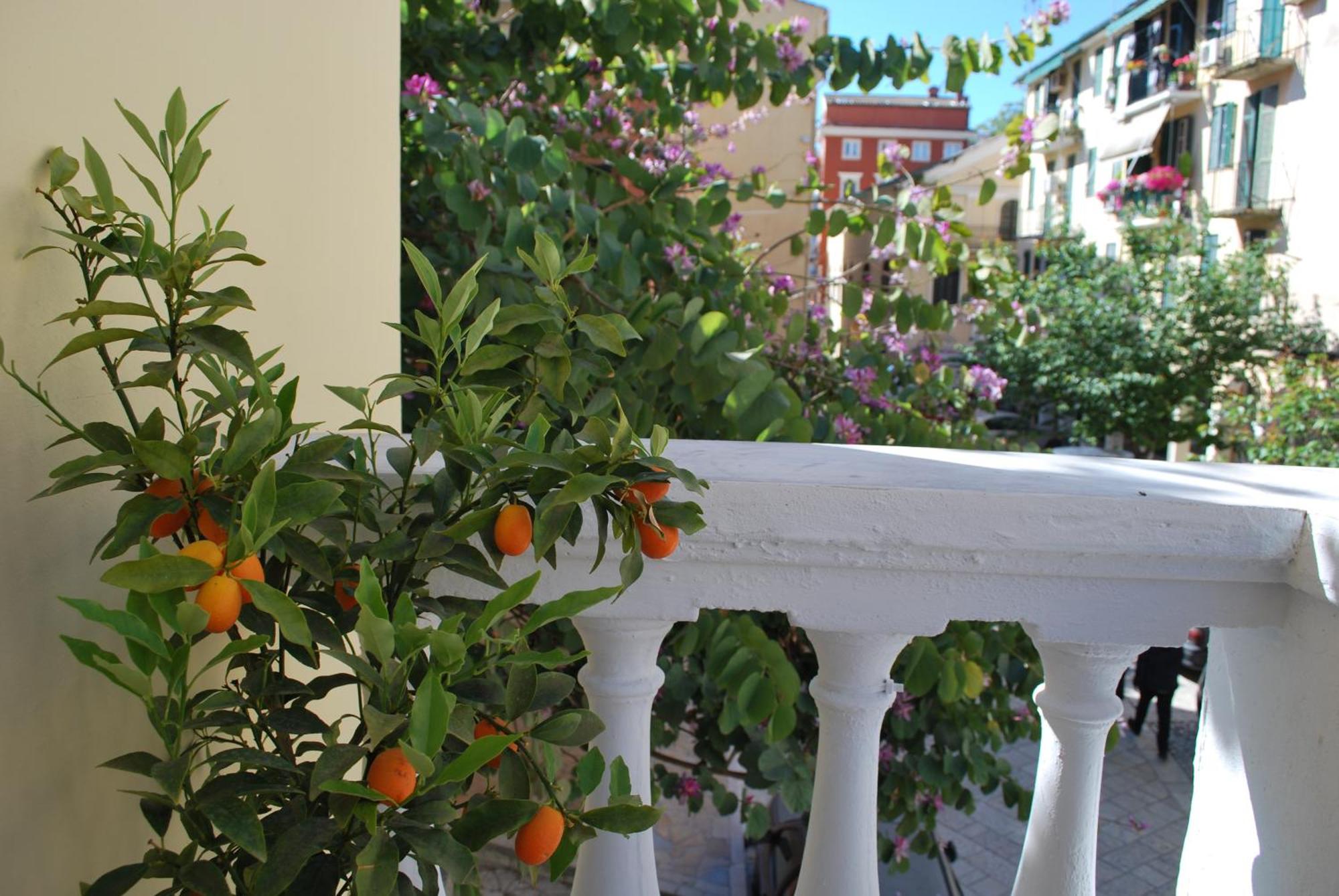 Lilliput Studio Corfu Old Town Ngoại thất bức ảnh